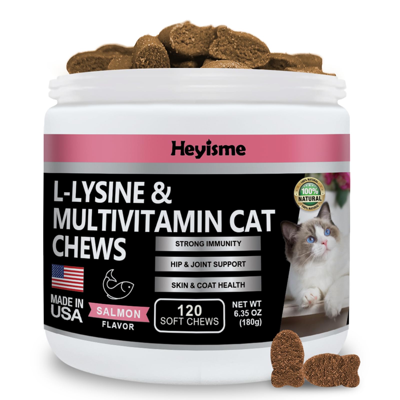 HEYISME Lysine Supplement for Cats, Cat Treats for Sneezing and Runny Nose, Cat Cold, Cat Immune Support, Eye Function, and Respiratory Health, L-Lysine cat Vitamins for Cats (120 Pills, Salmon)