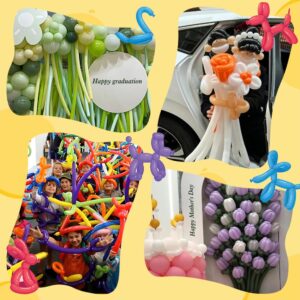 White Balloons 110pcs 260 Balloons Long Balloons Graduation Party Decorations 2024 Twisting Balloons Animal Balloons Wedding Balloons Long Balloons for Tying Balloon Arch Balloons for Balloon Arch