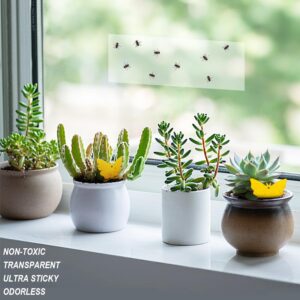 VART 63 Pack Window Fly Traps for Indoors Sticky, Indoor Fly Paper Trap Non-Toxic Fly Strips for Windows - Glue Fly Catcher Fly Sticky Traps Indoor Bug Sticky Traps for Housefly, Ladybug