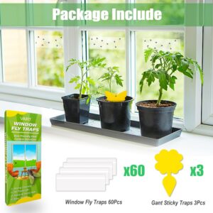 VART 63 Pack Window Fly Traps for Indoors Sticky, Indoor Fly Paper Trap Non-Toxic Fly Strips for Windows - Glue Fly Catcher Fly Sticky Traps Indoor Bug Sticky Traps for Housefly, Ladybug