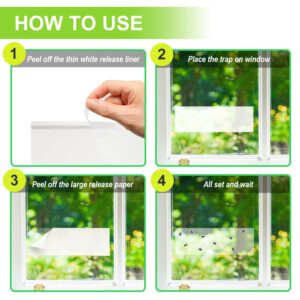 VART 63 Pack Window Fly Traps for Indoors Sticky, Indoor Fly Paper Trap Non-Toxic Fly Strips for Windows - Glue Fly Catcher Fly Sticky Traps Indoor Bug Sticky Traps for Housefly, Ladybug