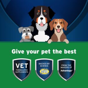 Pet Protect from The Makers of Advantage Vet-Formulated Dog Digestive Health Supplement | 60 Chews