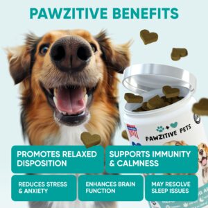 Hemp Calming Chews for Dogs - Anxiety Relief Melatonin for Dogs - USA Product - Dog Calming Chews for Stress, Separation Anxiety, Fireworks, Thunder, Travel, Vet Visits - 120 Soft Dog Calming Treats