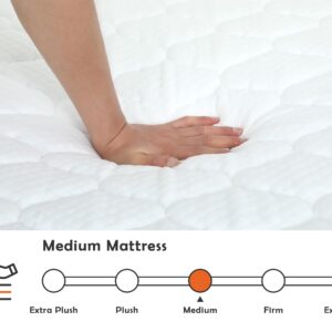 Queen Mattresses, 6/8/10/12 Inch Innerspring Mattress Medium Firm Queen Mattress for Pressure Relief, Spring Memory Foam Mattress, Certipur-Us Fiberglass-Free Queen Size Mattresses (Queen, 8 In)