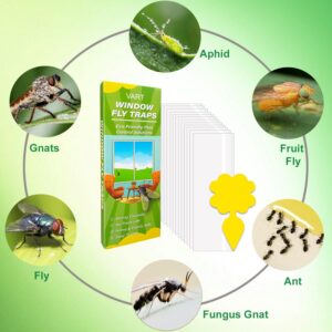 VART 63 Pack Window Fly Traps for Indoors Sticky, Indoor Fly Paper Trap Non-Toxic Fly Strips for Windows - Glue Fly Catcher Fly Sticky Traps Indoor Bug Sticky Traps for Housefly, Ladybug