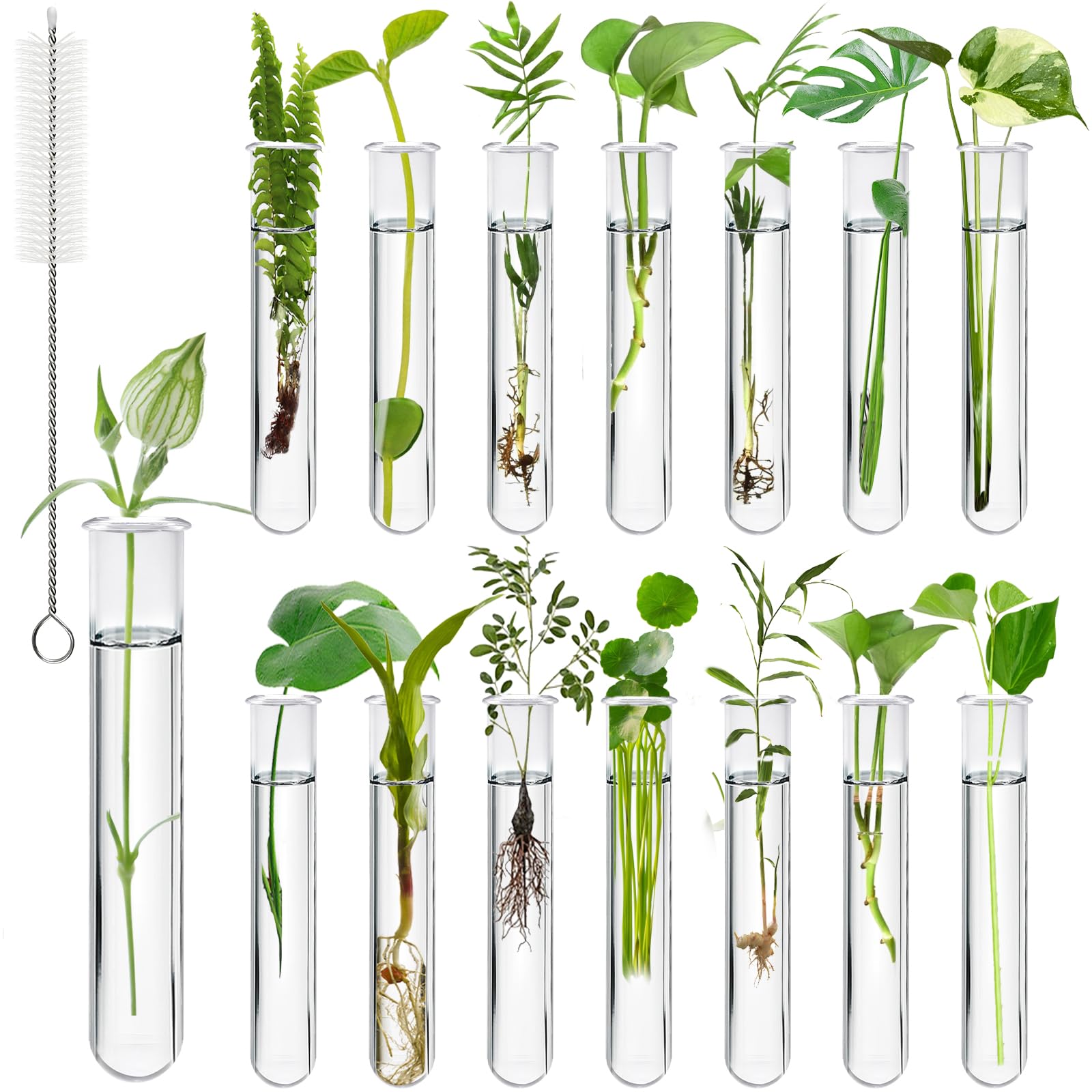 Worldity 15 Pcs Clear Test Tubes for Plant, 20 ml Plant Propagation Tube with Brush, Plastic Test Tubes for Hydroponic Plants, Flowers, Home Office Wall Decor (12 cm)