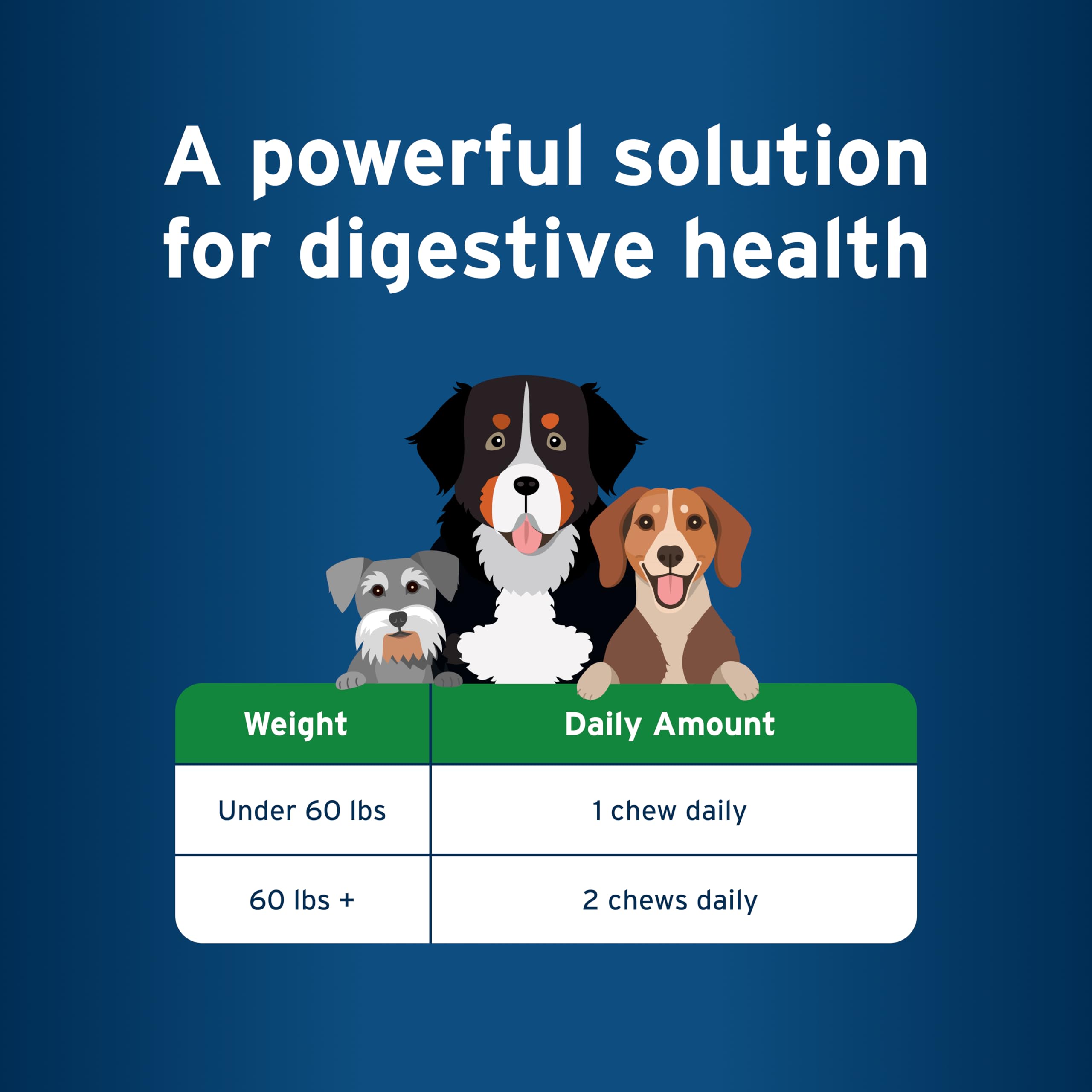 Pet Protect from The Makers of Advantage Vet-Formulated Dog Digestive Health Supplement | 60 Chews