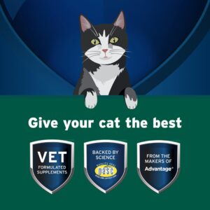 Pet Protect from The Makers of Advantage Vet-Formulated Probiotic Balance+ Cat Supplement | Oral Gel | 15g