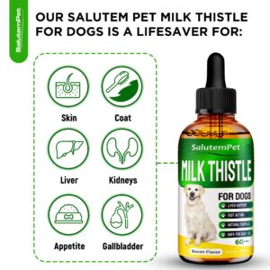 Milk Thistle for Dogs | Dog Liver Supplement | Milk Thistle Supplement for Dogs | Liver Support for Dogs | Liquid Milk Thistle for Dogs | Dog Supplements for Liver | Natural Product | 2 Pack х 2 Oz