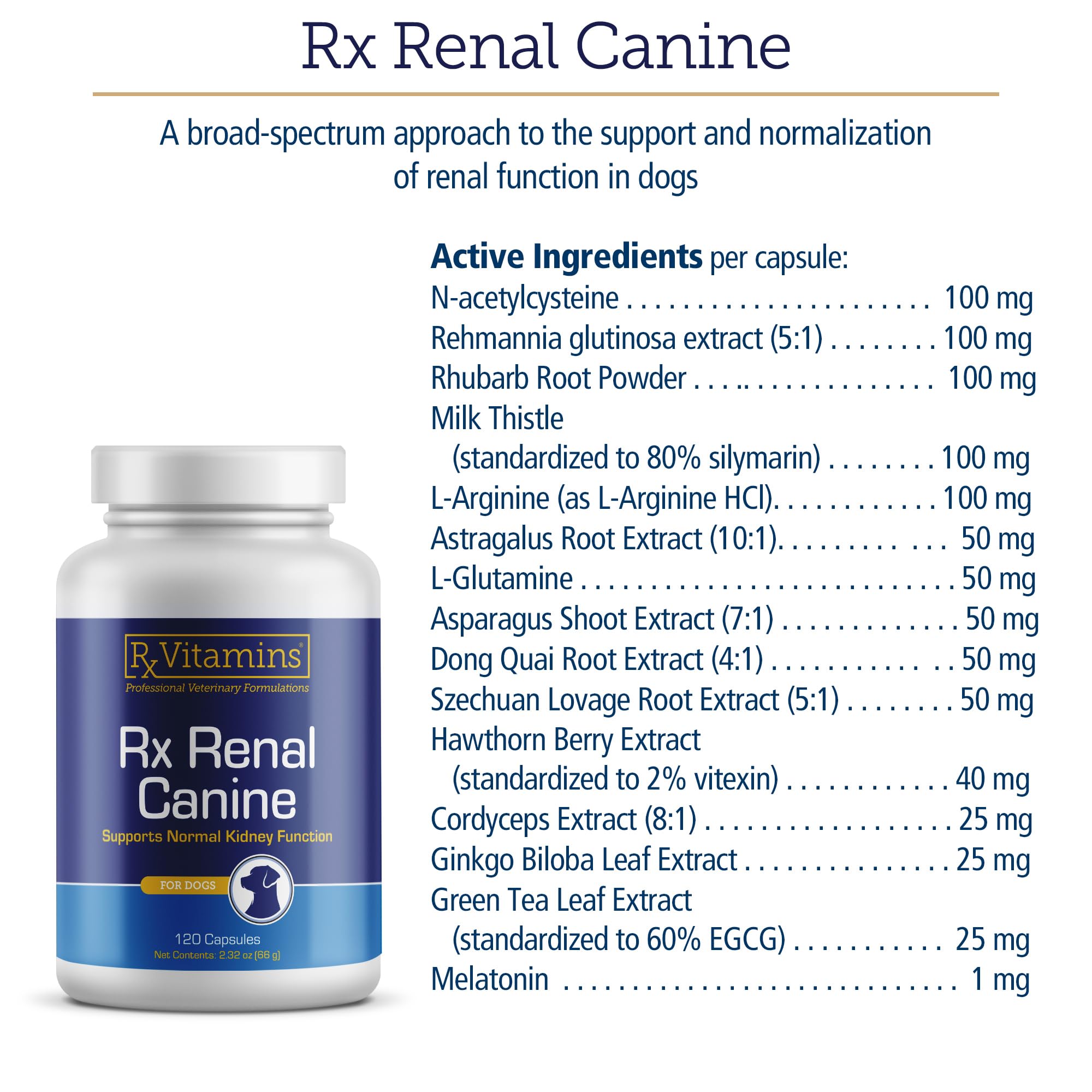 Rx Vitamins Rx Renal Canine Kidney Support for Dogs - Milk Thistle Extract, Green Tea, & Cordyceps Capsules for Dogs - Dog Kidney Support Supplement - 120 ct