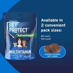 Pet Protect from The Makers of Advantage Vet-Formulated Daily Multivitamin for Dogs | 60 Chews with Vitamins