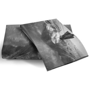 NEWAKI Berserk Guts Anime Duvet Cover Soft 3D Printed Bedding Set with Comforter Cover 3 Piece Set Includes 2 Pillowcases and 1 Duvet Cover Machine Washable (15,Queen (90"x90"))