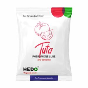 hedo pheromone lure for tomato leaf miner (tuta absoluta pheromone lure) pack of 20 to control damage in tomato