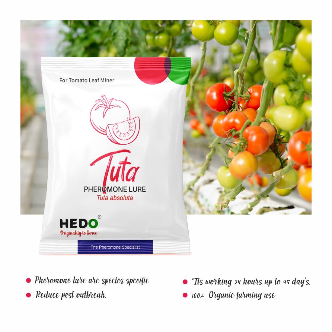 HEDO Pheromone Lure for Tomato Leaf Miner (Tuta absoluta Pheromone Lure) Pack of 20 to Control Damage in Tomato