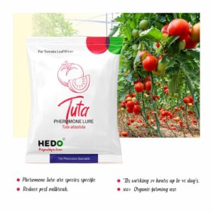 HEDO Pheromone Lure for Tomato Leaf Miner (Tuta absoluta Pheromone Lure) Pack of 20 to Control Damage in Tomato