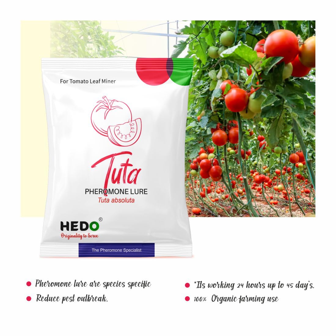 HEDO Pheromone Lure for Tomato Leaf Miner (Tuta absoluta Pheromone Lure) Pack of 20 to Control Damage in Tomato