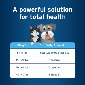 Pet Protect from The Makers of Advantage Omega 3 Supplement for Small Dogs & Cats | 60 Capsules