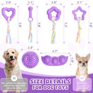 ABRRLO 6 Pack Puppy Teething Toys Cute Small Dog Toys Durable Puppy Chew Toys for Teething Essentials Purple Soft Rubber Small Breed Dog Squeaky Toys Balls for Puppies Interactive Doggy Chews Toys Set