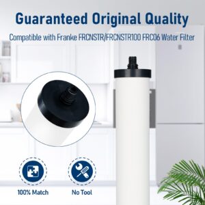 PERCOLA FRC06 Cartridge, Compatible with FRCNSTR/FRC06, FRCNSTR100/FRC06 filter cartridge and Franke Still Pure Under-Sink Filtration System, 2 Pack