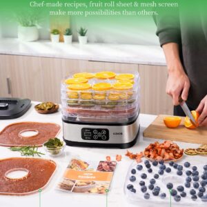 GDOR Food Dehydrator Machine with Adjustable Temperature & 72H Timer, 5-Tray Dehydrators for Food and Jerky, Fruit, Dog Treats, Herbs, Snacks, LED Display, 240W Electric Food Dryer with Recipe Book