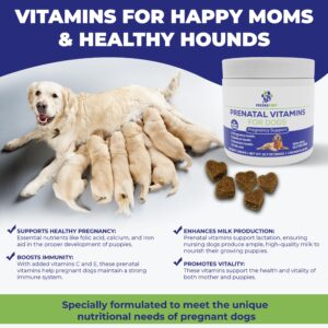 PregnaPaws Dog Pre-Natal & Post-Natal Supplement - Essential Nutrients for Pregnant & Nursing Dogs (Prenatal Vitamins)