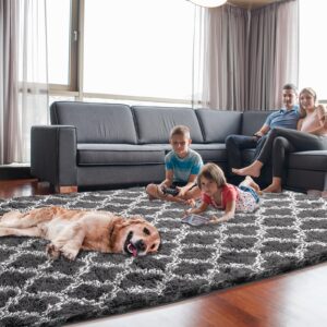 Puremy Shag Area Rug 5x7 Feet Extra Soft Rugs for Living Room, High Pile Indoor Carpet for Bedroom, Playroom, Nursery, Home Decor, Geometric, Dark Grey/White