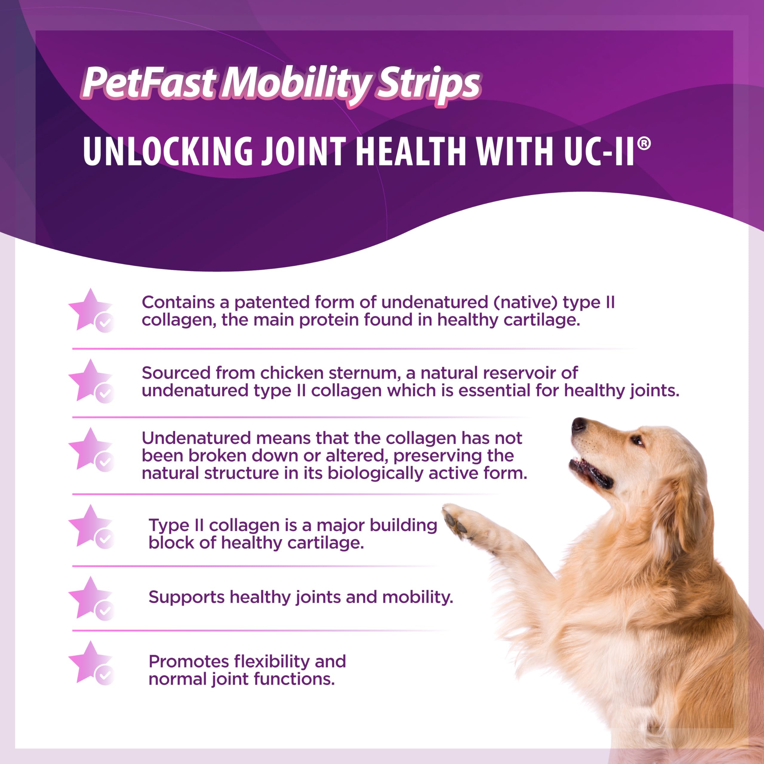 PETFAST Mobility Strips for Hip & Joint - Fast-Acting Oral Supplement with UC-II® for Dogs and Cats - Joint Health Support with Boswellia, Choline, Vitamin E & D3 - Fast Dissolving Strips