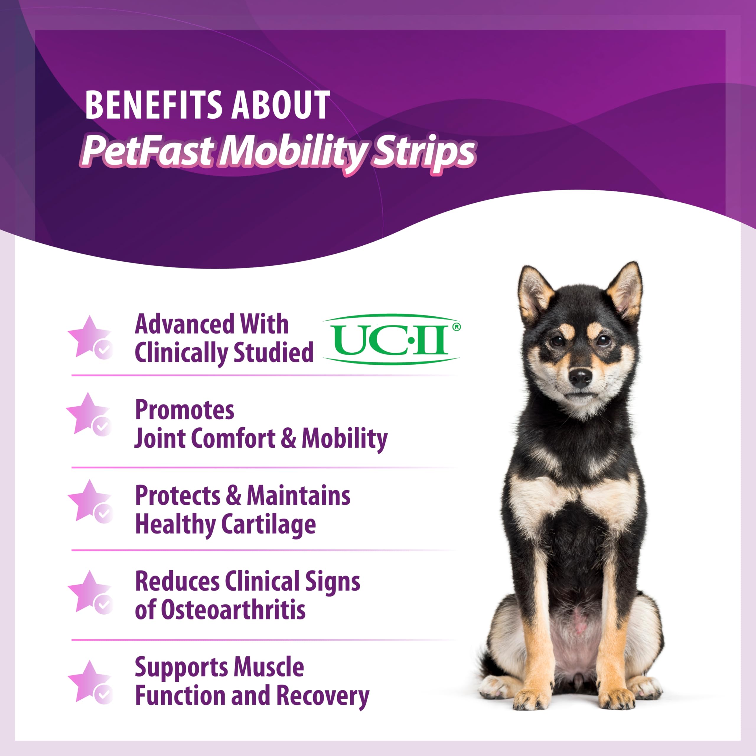 PETFAST Mobility Strips for Hip & Joint - Fast-Acting Oral Supplement with UC-II® for Dogs and Cats - Joint Health Support with Boswellia, Choline, Vitamin E & D3 - Fast Dissolving Strips