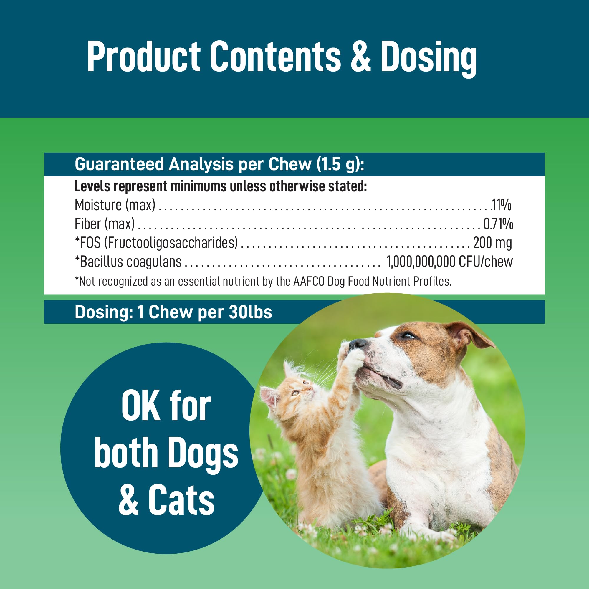 Saint Barkus Probiotic + Fiber Regularity & Digestive Health. Probiotic Supplements for Dogs for Gut Health, Regularity, Upset Stomach and Allergies. Give Back to No-Kill Shelters! 90 Count