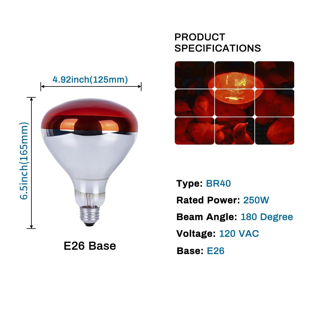 4 Pack 250 Watts Heat Lamp Bulbs, R40 Brooder Heat Lamp for Chickens, Infrared Reflector Heat Bulbs for Brooder Heater, Incandescent Heating bulb for Pet, Light Therapy, Bathroom, Food