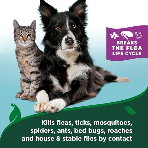 Vet’s Best Flea & Tick Home Spray for Cats – Cotton Spice Scent Cat Flea & Tick Aid – Made in The USA – Flea & Tick Gentle Mist for Cats – 32 oz