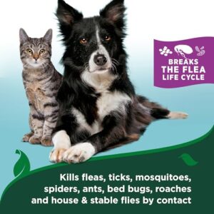 Vet’s Best Flea & Tick Waterless Bath for Cats – Cat Waterless Bath – Cotton Spice Scent – Natural Flea and Tick Prevention – Kills Fleas & Ticks on Contact – 5oz