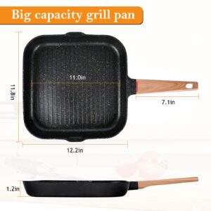 Barlket 11 inch Grill Pan for Indoor Cooking Nonstick Square Grill Skillet Griddle Pan for Stove Top, with Pour Spouts & Tongs, for Grilling Meat/Vegetables, Die Casting Aluminum