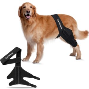 petbloom dog knee brace for torn acl, hip dysplasia, arthritis pain relief, osteoarthritis, and ligament injuries, adjustable neoprene support for front or hind leg, black (large)