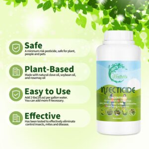 Nasticide Natural Insecticide Concentrate for Plants, Organic Safe Insect Killer with Natural Clove Oil, Soybean Oil and Rosemary Oil, Lawn Insecticide for Ants Spiders Cockroaches Aphids 8 oz