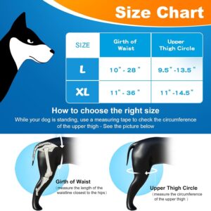 CHAMIN/RISURRY Dog Knee Brace with Adjustable Hinge Stabilizer, Dog ACL Knee Brace Support Osteoarthritis, Made with Premium Quality Neoprene(Right Leg,XL)