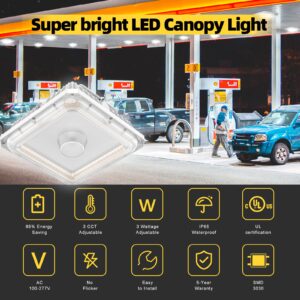 ORRGENA LED Canopy Lights 100W/80W/60W Adjustable, 5000K/4000K/3000K Adjustable, UL&DLC Listed Square Canopy Lights 10" x 10, IP65 Waterproof Canopy Light AC100-277V for Gas Station