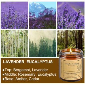 CIS Aromatherapy Candles, 7OZ Lavender Eucalyptus Candles, Scented Candles, Soy Wax Candle, Stress Relief and Relax for Gift Mother's Day Gift, Teal