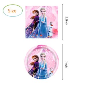 Pink Frozen Birthday Party Supplies, Include 20 Plates and 20 Napkins, for Pink Frozen Theme Birthday Party Decorations