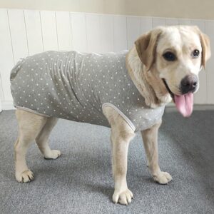 Recovery Suit Post Surgery for Large Medium Dog, Spay Recovery Suit for Male and Female Dogs, Post Surgery Dog Onesie, Substitute E-Collar & Cone (Gray-XL)