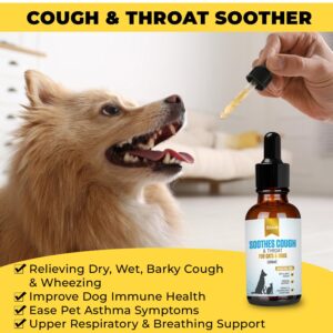 Kilab Respiratory Relief: Natural Cat and Dog Cough Medicine - Soothes Sneezing, Treats Kennel Cough, Supports Trachea Collapse and Pet Asthma (100 ML)