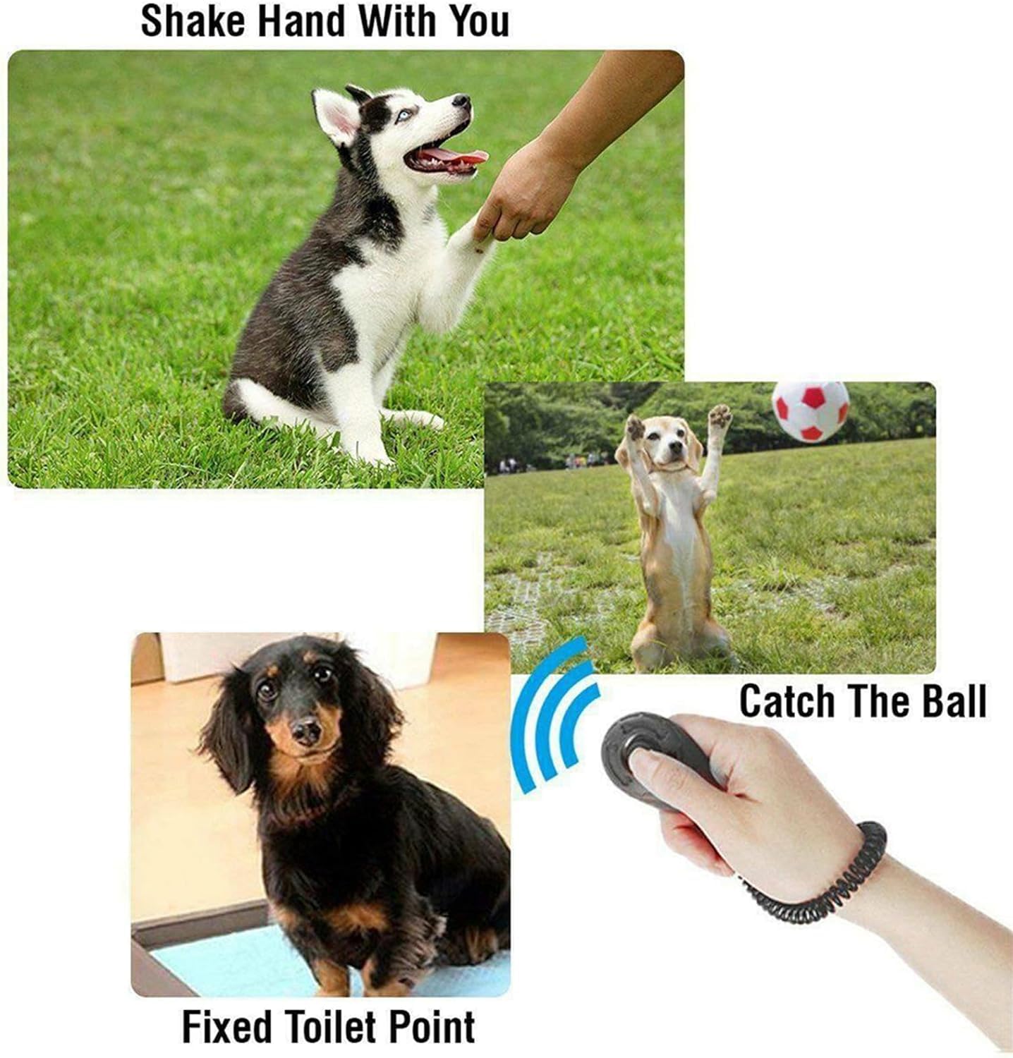 Black Clicker Easy to Use with Button Dog Training Accessories Agility Equipment,Training and Behavior Aids,Dogs