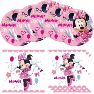 minnie birthday party supplies, include 20 plates and 20 napkins, for minnie theme birthday party decorations