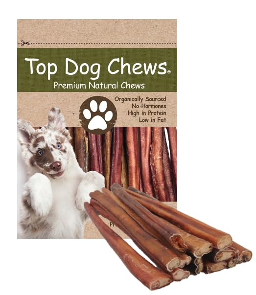 Top Dog Chews - Thick 12 Inch Bully Sticks, 100% Natural Beef, Free Range, Grass Fed, High Protein, Supports Dental Health & Easily Digestible, Dog Treat, 10 Pack (10 Count 12", Odor Free Beef)