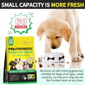 120 Chews Probiotics for Dogs