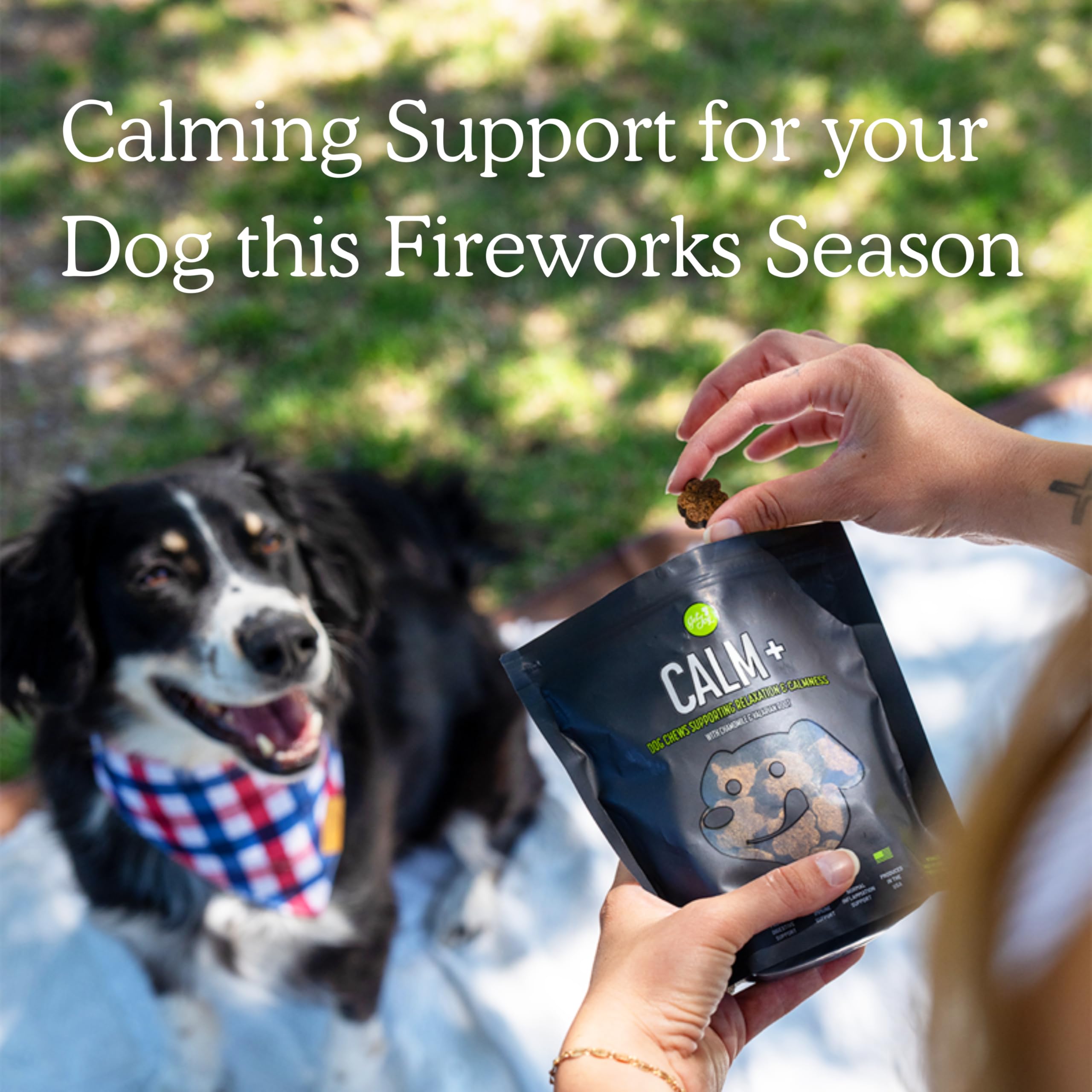 Get Joy Calm+ Stress Support Dog Supplement Chews, 90 Soft Chews, Chicken Flavor, Supports Sleep & Relaxation, with Chamomile & Valerian Root, PhD Animal Nutritionist Formulated, Produced in USA