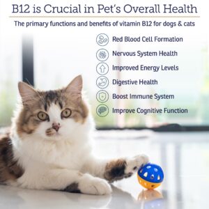 RX Vitamins B12 for Dogs and Cats - Dog Digestive Support for Improved Metabolic Process - Pure B12 for Cats to Support Nervous System - Ideal for Your Dog Vitamins and Cat Supplies - 4oz