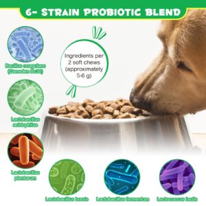 120 Chews Probiotics for Dogs