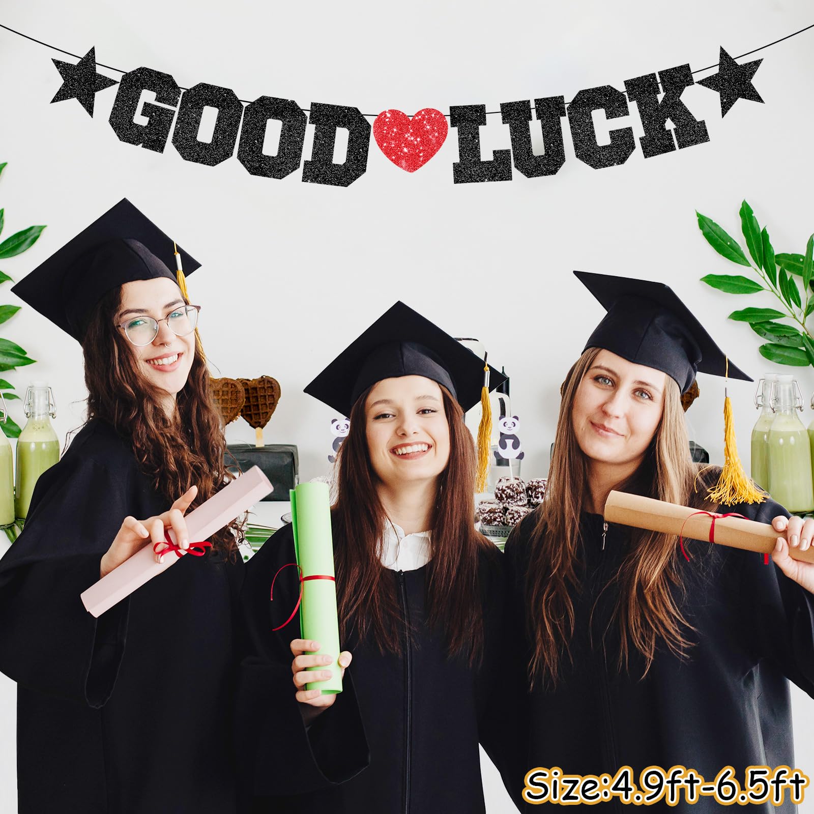 Good Luck Banner Decoration, Farewell Party Decoration, Black Retirement Party Banner, Graduation Party Going Away Party Office Work Party Farewell Party Decorations Supplies