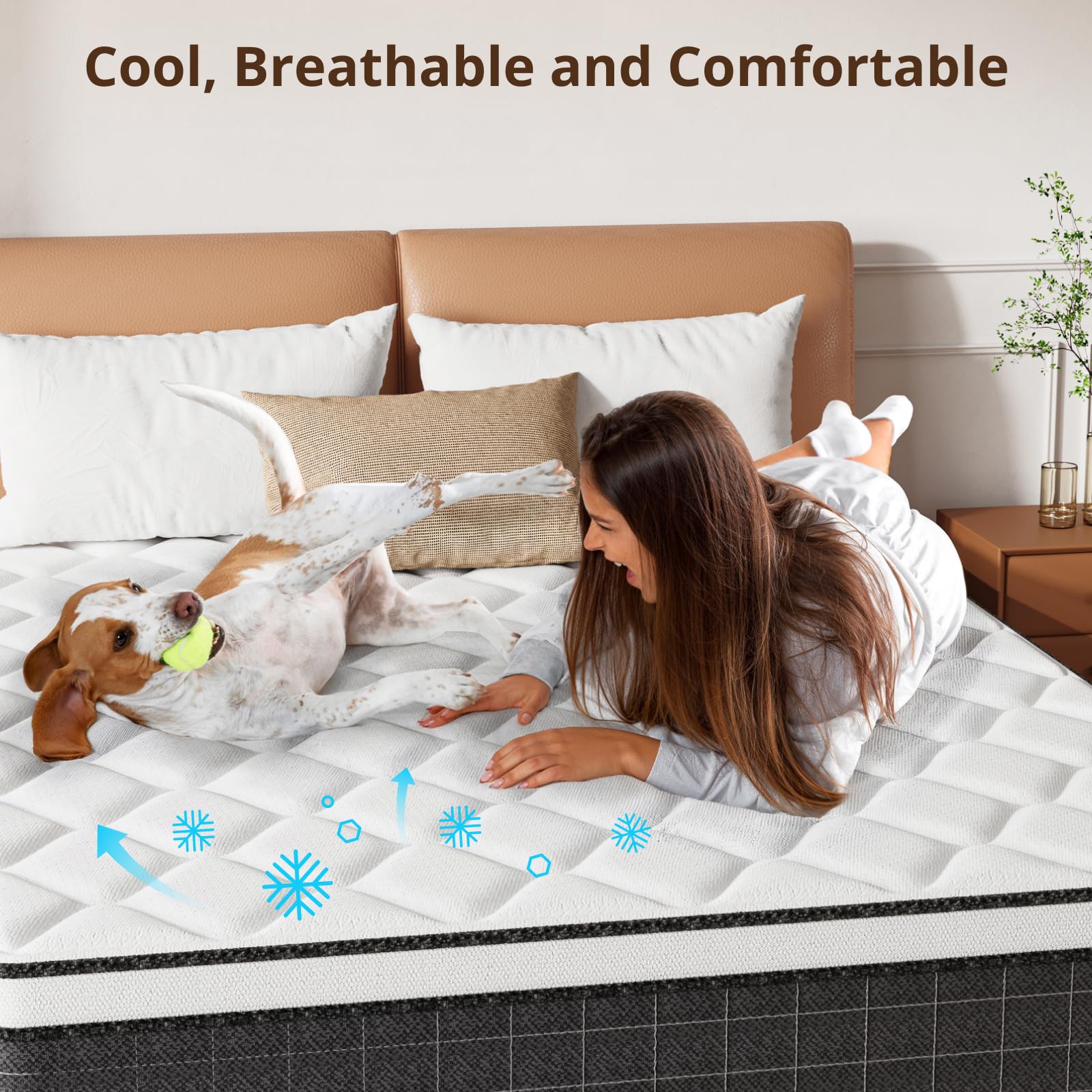 Full Size Mattress, EvaStar 12 Inch Gel Memory Foam Mattress for Cooling Comfort Technology and Pressure-Relieving, Hybrid Mattress in a Box, Medium Firm, Breathable, CertiPUR-US, 75"x 54"x12"